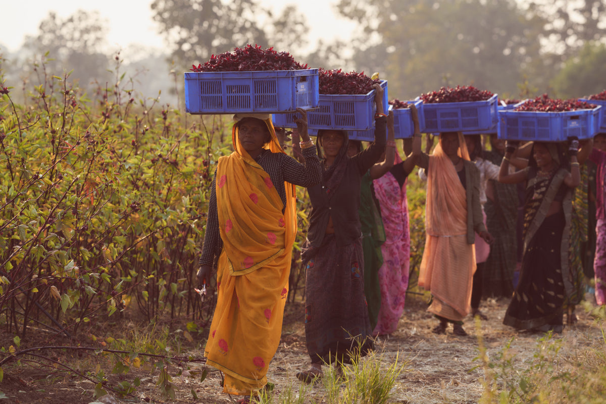 Burgundy Bāgh: Our Story