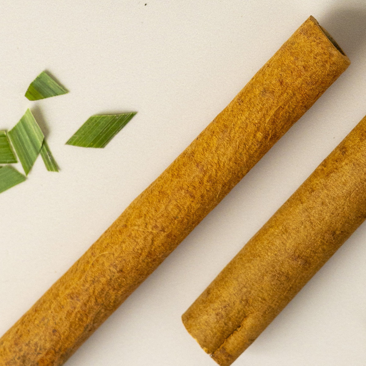 Two sticks of cinnamon bark