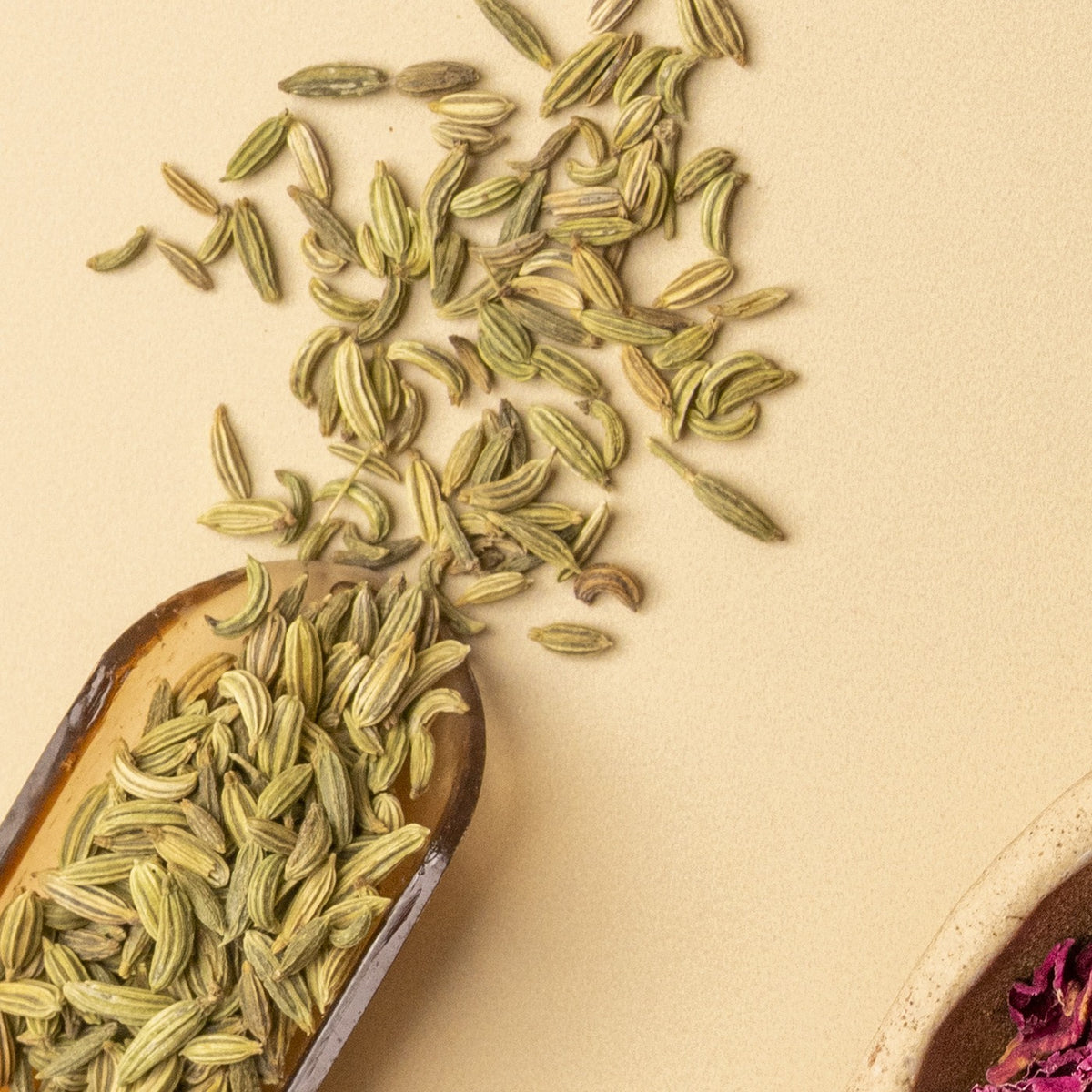 Fennel seeds on a wooden scoop